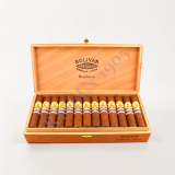 BOLIVAR BOSPHORUS ER TURQUIA 2014 - BOX 25'S — Rhein 1905