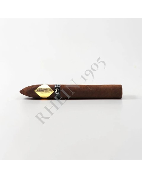CAVALIER DE GENEVE - BLACK II TORPEDO — Rhein 1905