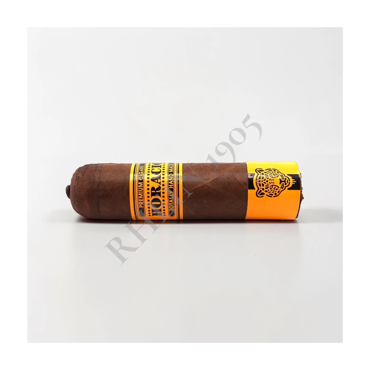 HORACIO PANTERA 64 — Rhein 1905