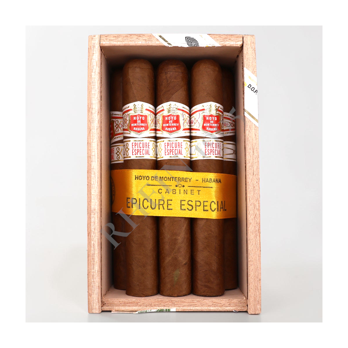 HOYO DE MONTERREY EPICURE ESPECIAL / 10'S — Rhein 1905