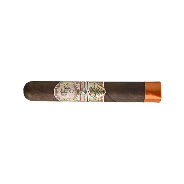 MY FATHER THE JUDGE GRAND ROBUSTO — Rhein 1905