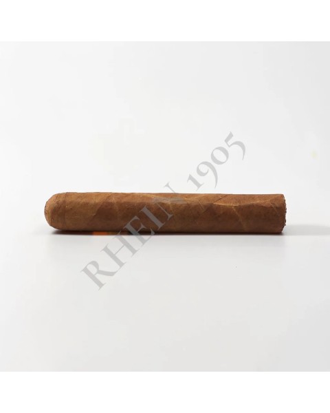 NO NAME SF GORDO 60X6 — Rhein 1905