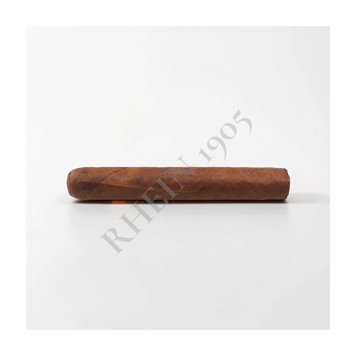 NO NAME SF ROBUSTO 51X4 — Rhein 1905