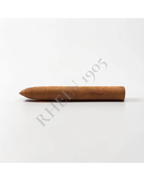 NO NAME SF TORPEDO 51/6 — Rhein 1905