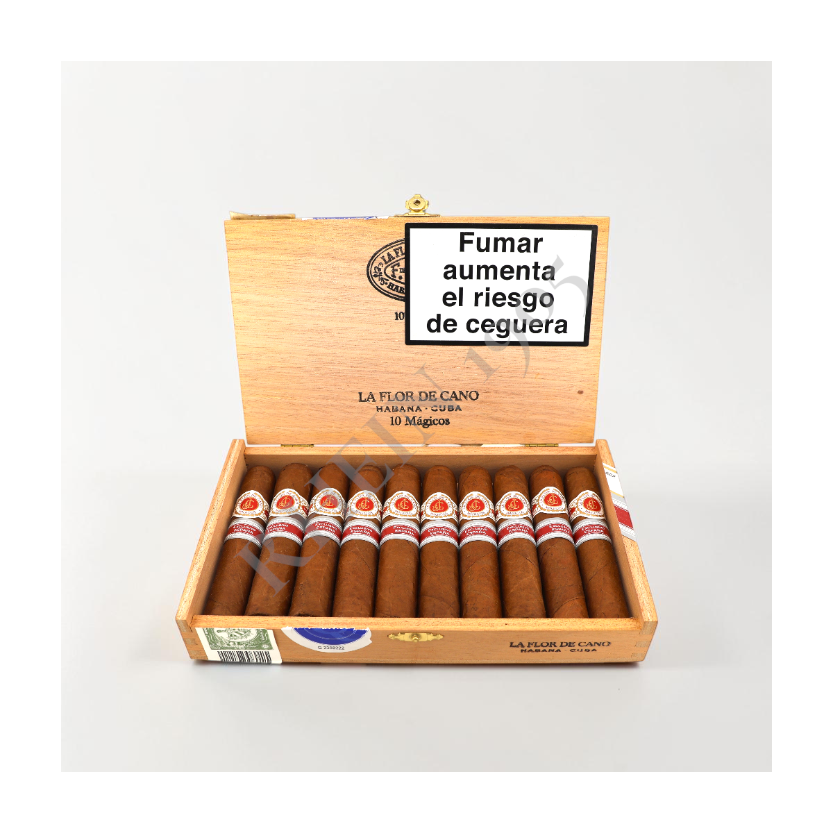 FLOR DE CANO MÁGICOS ER ESPAÑA 2020 / 10'S — Rhein 1905
