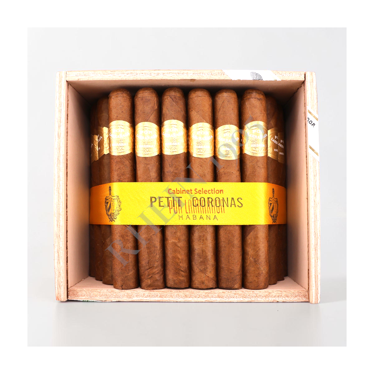 POR LARRAÑAGA PETIT CORONA /50'S — Rhein 1905