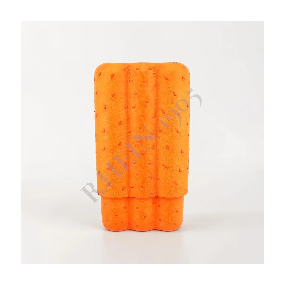 POROSUS 3'S OSTRICH TANGERINE WOODY — Rhein 1905