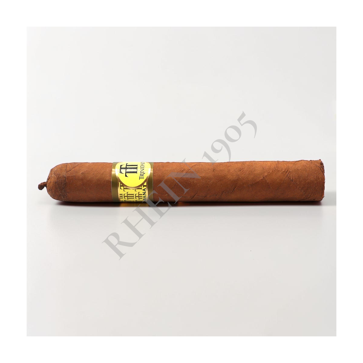 TRINIDAD REYES — Rhein 1905