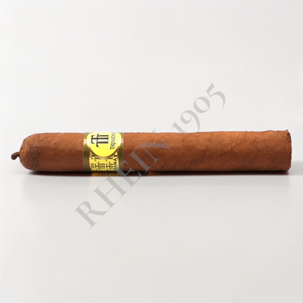 TRINIDAD REYES — Rhein 1905