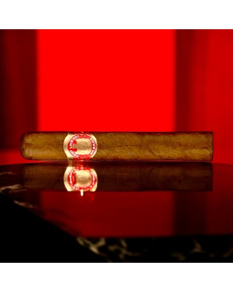 SAINT LUIS REY REGIOS — Rhein 1905