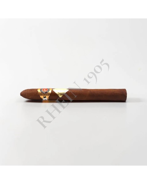 CAVALIER REGIONAL EXCLUSIVE  SUISSE "MAURO" — Rhein 1905
