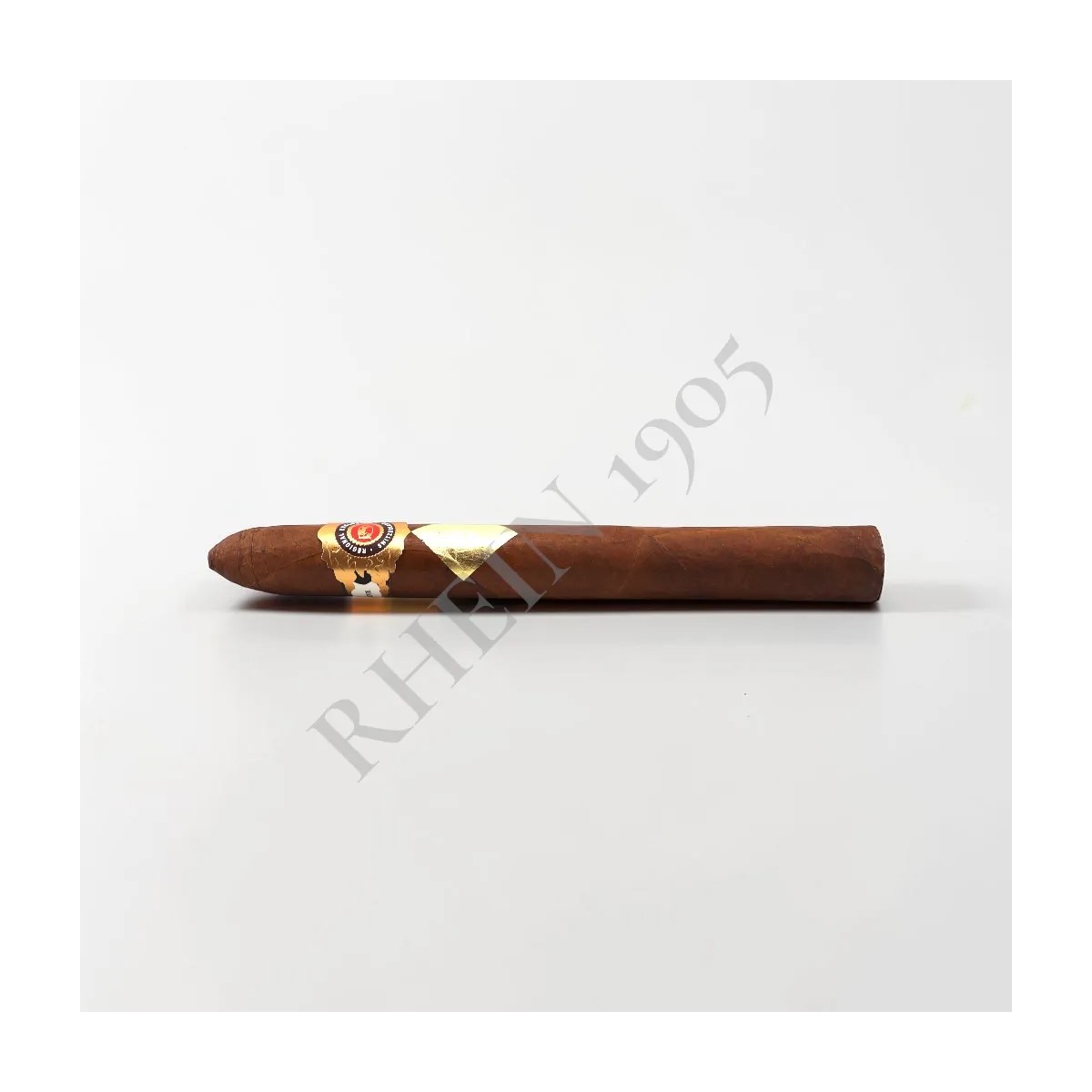CAVALIER REGIONAL EXCLUSIVE  SUISSE "MAURO" — Rhein 1905