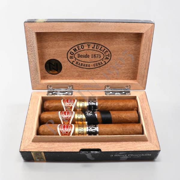 ROMEO SHORT CHURCHILL RESERVA COSECHA /3 — Rhein 1905