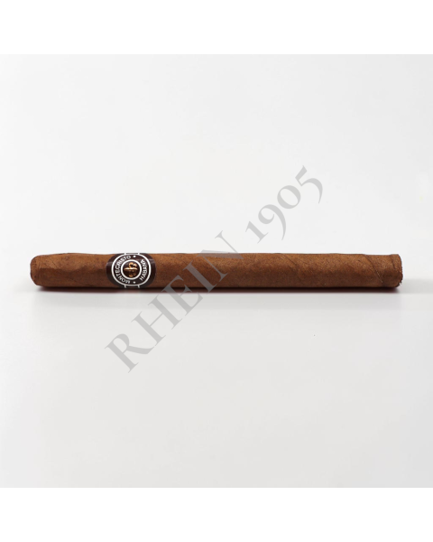 MONTECRISTO JOYITAS — Rhein 1905