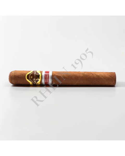 SCDH MAGNIFICO ER ANDORRA / 12'S — Rhein 1905