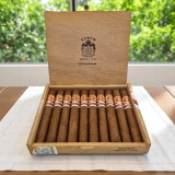 PUNCH GRAN ROBUSTO ER ESPANA 2009 / 10'S — Rhein 1905