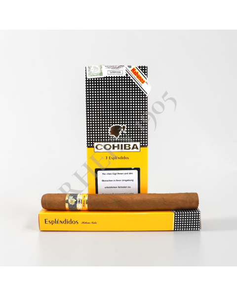 COHIBA ESPLENDIDOS  CARDBOX/3 — Rhein 1905