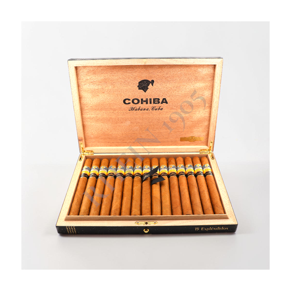 COHIBA ESPLENDIDOS GRAN RESERVA COSECHA 2017  15'S — Rhein 1905