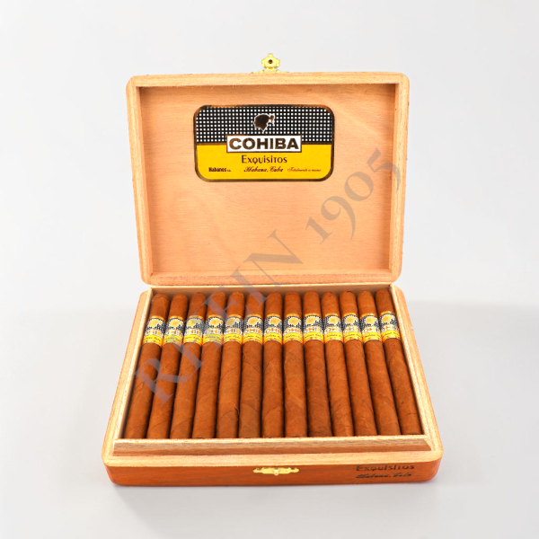 COHIBA EXQUISITOS BOX 25'S — Rhein 1905