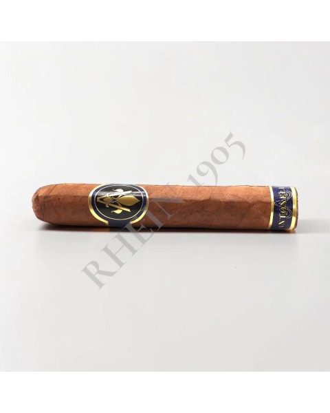 ANTONELLA ROBUSTO MADURO — Rhein 1905