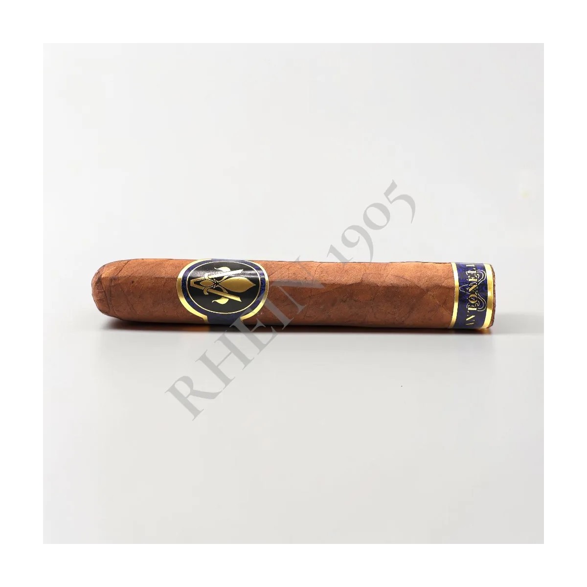 ANTONELLA ROBUSTO MADURO — Rhein 1905