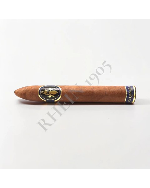 ANTONELLA TORPEDO MADURO — Rhein 1905