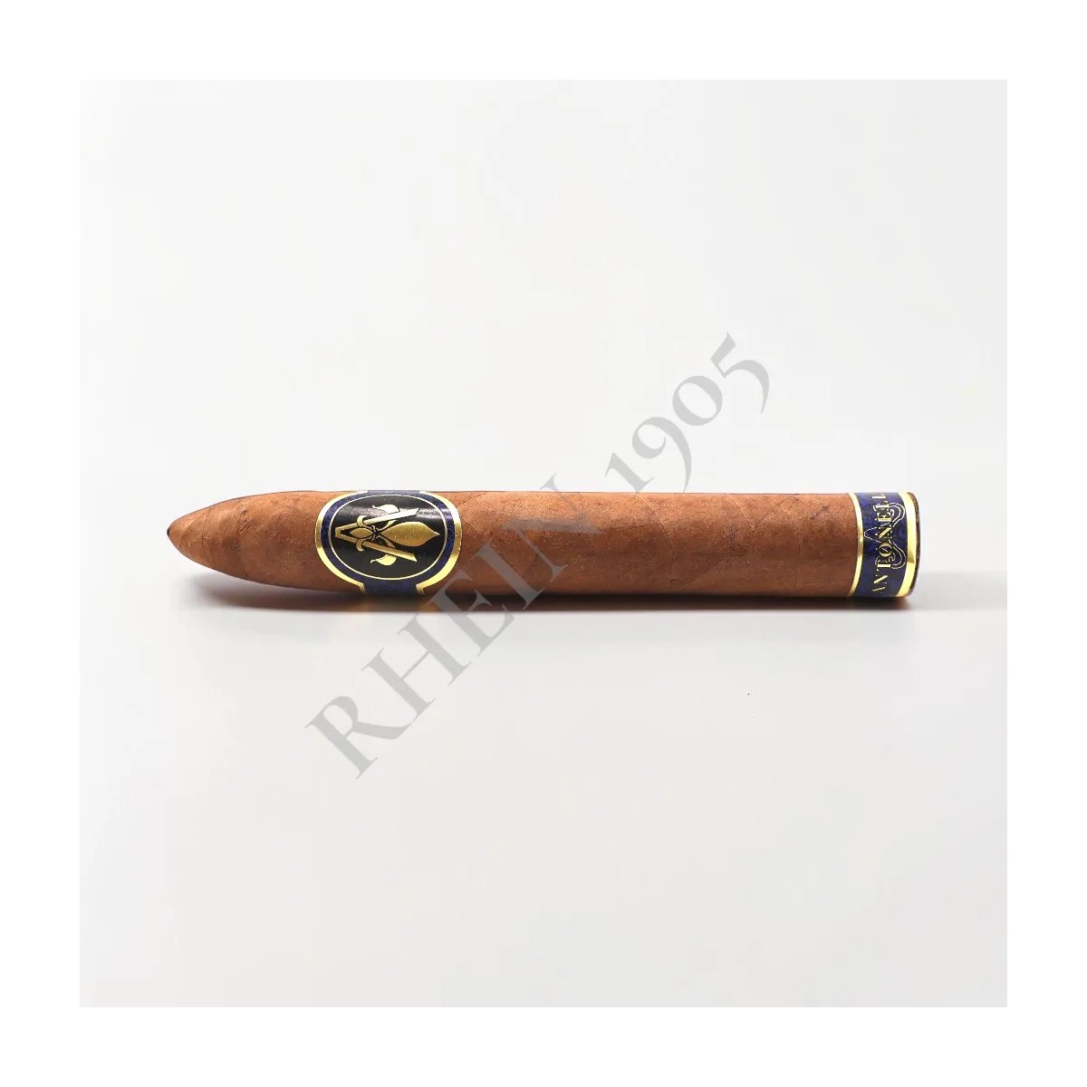 ANTONELLA TORPEDO MADURO — Rhein 1905