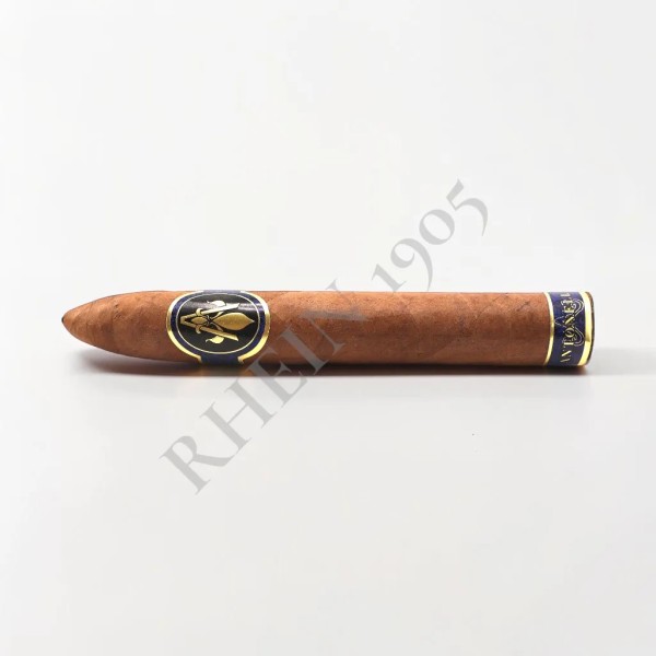 ANTONELLA TORPEDO MADURO — Rhein 1905