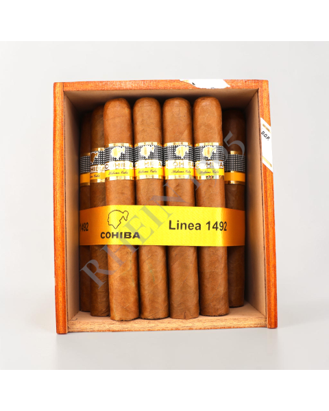 COHIBA SIGLO VI SLB FULL BOX 25'S — Rhein 1905