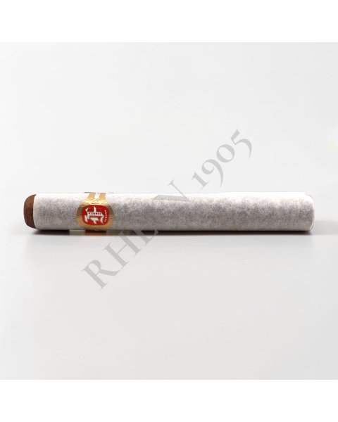 FONSECA COSACOS — Rhein 1905