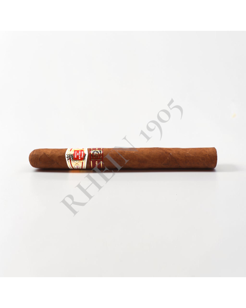 HOYO DE MONTERREY ESCOGIDOS LCDH — Rhein 1905