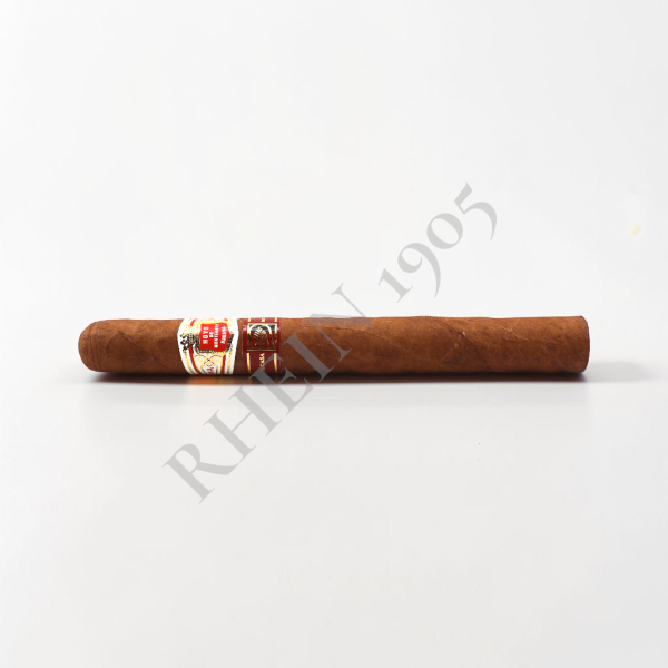 HOYO DE MONTERREY ESCOGIDOS LCDH — Rhein 1905