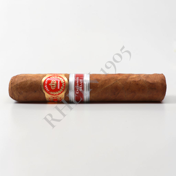 JUAN LOPEZ DRAGONES ER BELUX 2023 - UNIT — Rhein 1905