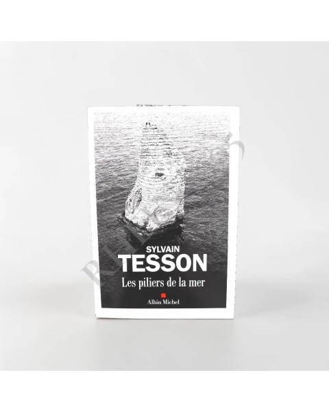 LES PILIERS DE LA MER - ALBIN MICHEL - SYLVAIN TESSON — Rhein 1905