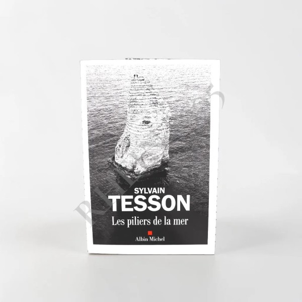 LES PILIERS DE LA MER - ALBIN MICHEL - SYLVAIN TESSON — Rhein 1905