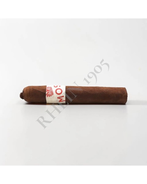 MOSH CIGAR ROBUSTO — Rhein 1905