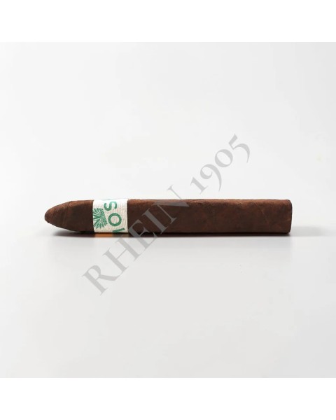 MOSH CIGAR TORPEDO — Rhein 1905