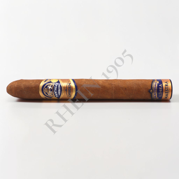 PARTAGAS LINEA MAESTRA ORIGEN — Rhein 1905