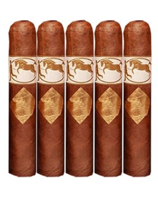 New World cigars in Geneva | Nicaragua, Dominican Rep. | Rhein 1905